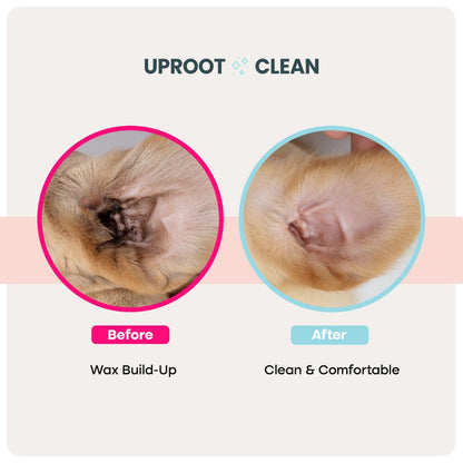 Uproot Ear Wipes